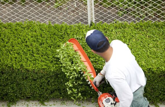 理想の庭造りを実現できる業者を探しているなら | 神戸市の造園なら確かな実績の翠晃園